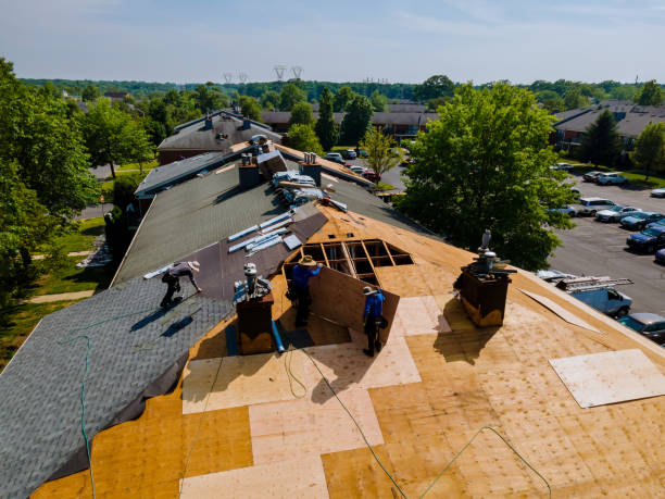 Best Roof Repair Specialists  in Marion, WI